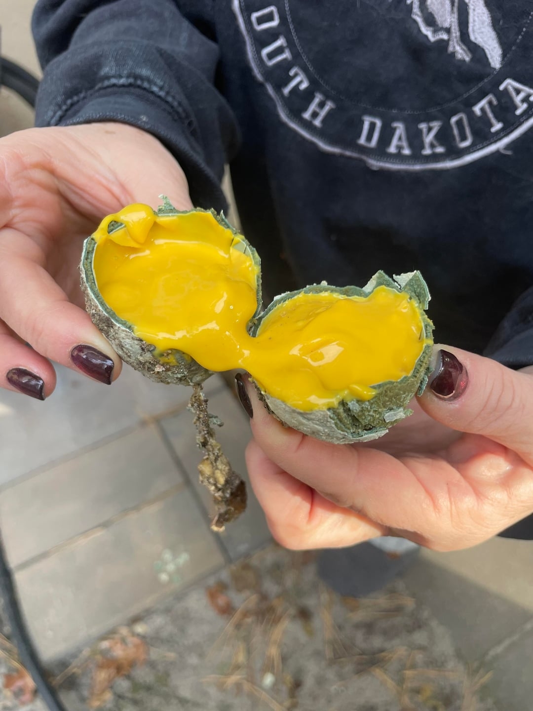 Person holding a halved greenish  shot  with yellowish  liquid inside, wearing a South Dakota sweatshirt