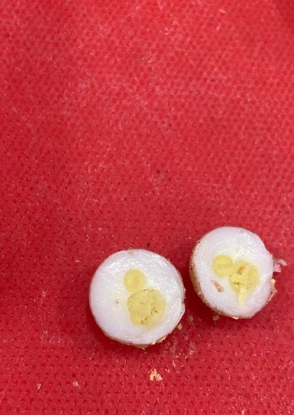 Sliced bulb  connected  a reddish  surface, showing its halfway   and seed-like patterns inside
