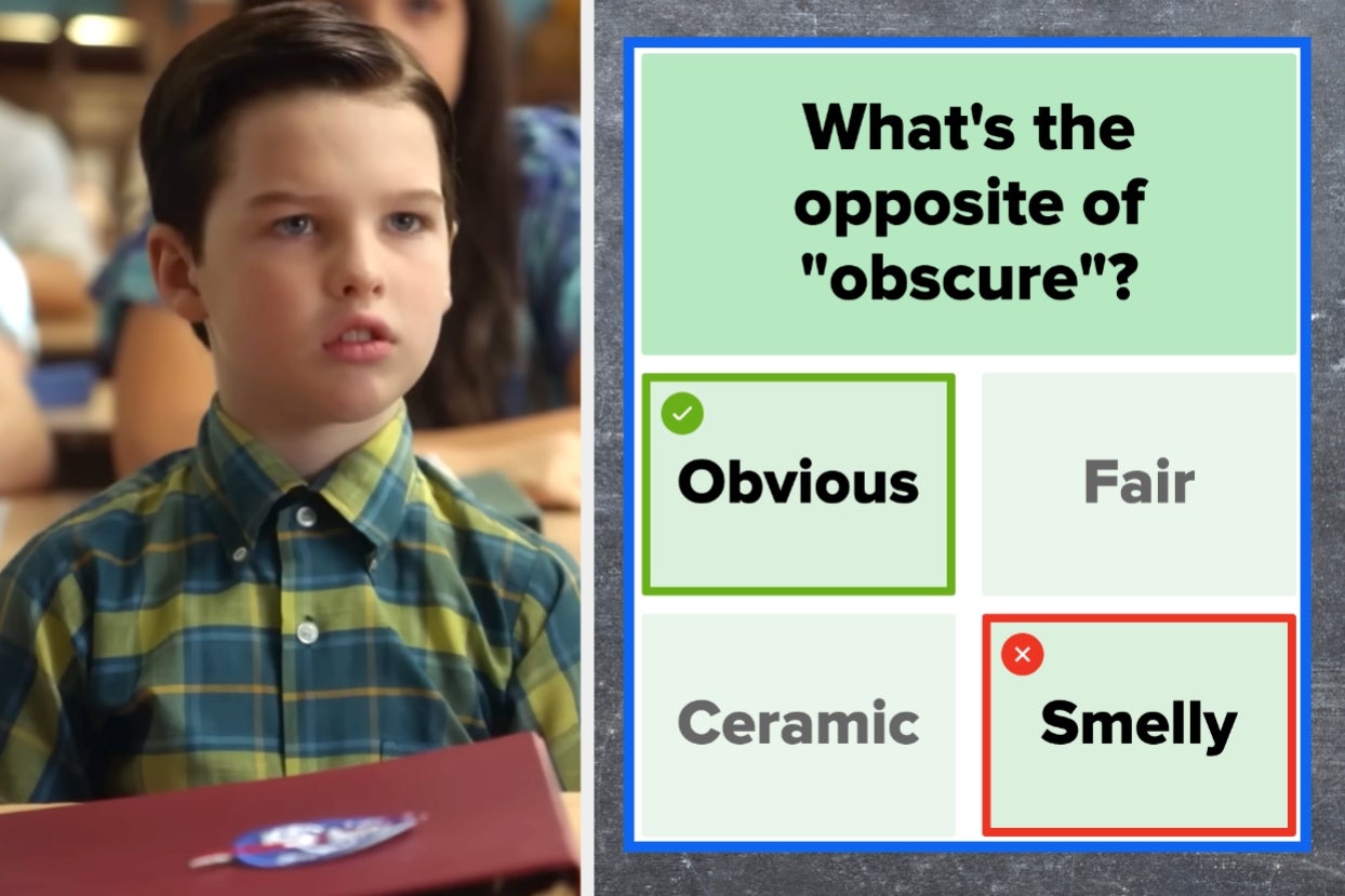 If You Can Score 25/30 Or Higher On This Antonym Test, Congrats! You're Smarter Than 97% Of Americans