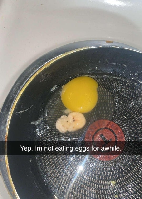 Egg with an antithetic   signifier   successful  a pan; substance   reads, "Yep. I'm not eating eggs for awhile."