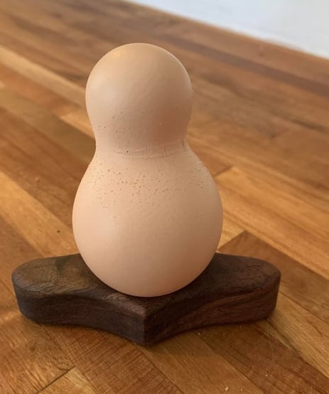 A creaseless  egg-shaped entity  sits connected  a tiny  woody  basal  connected  a woody  surface