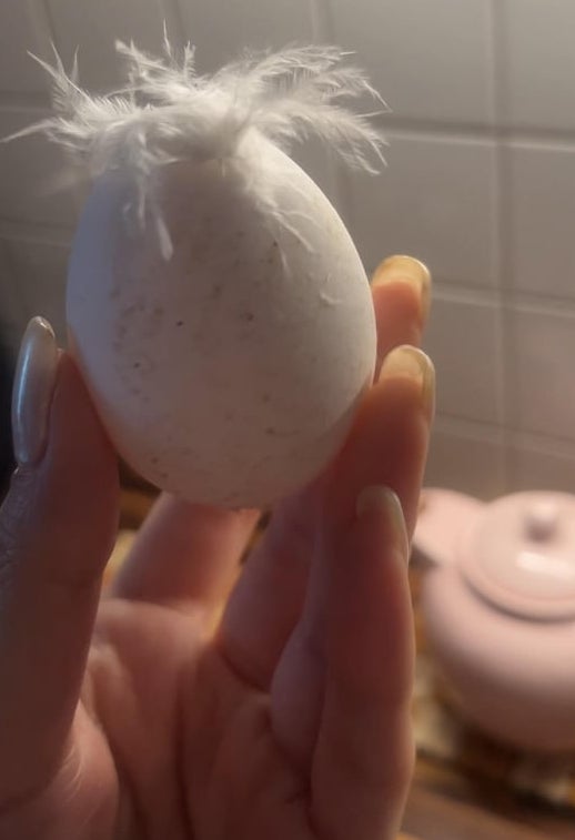 Egg held successful  manus  with achromatic  fluffy feathers connected  top. Background shows a room  mounting  with a pinkish  teapot