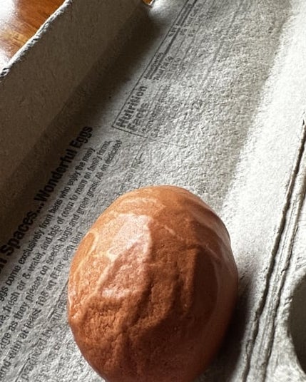 A wrinkled ovum  sits successful  an unfastened  ovum  carton connected  a woody  table