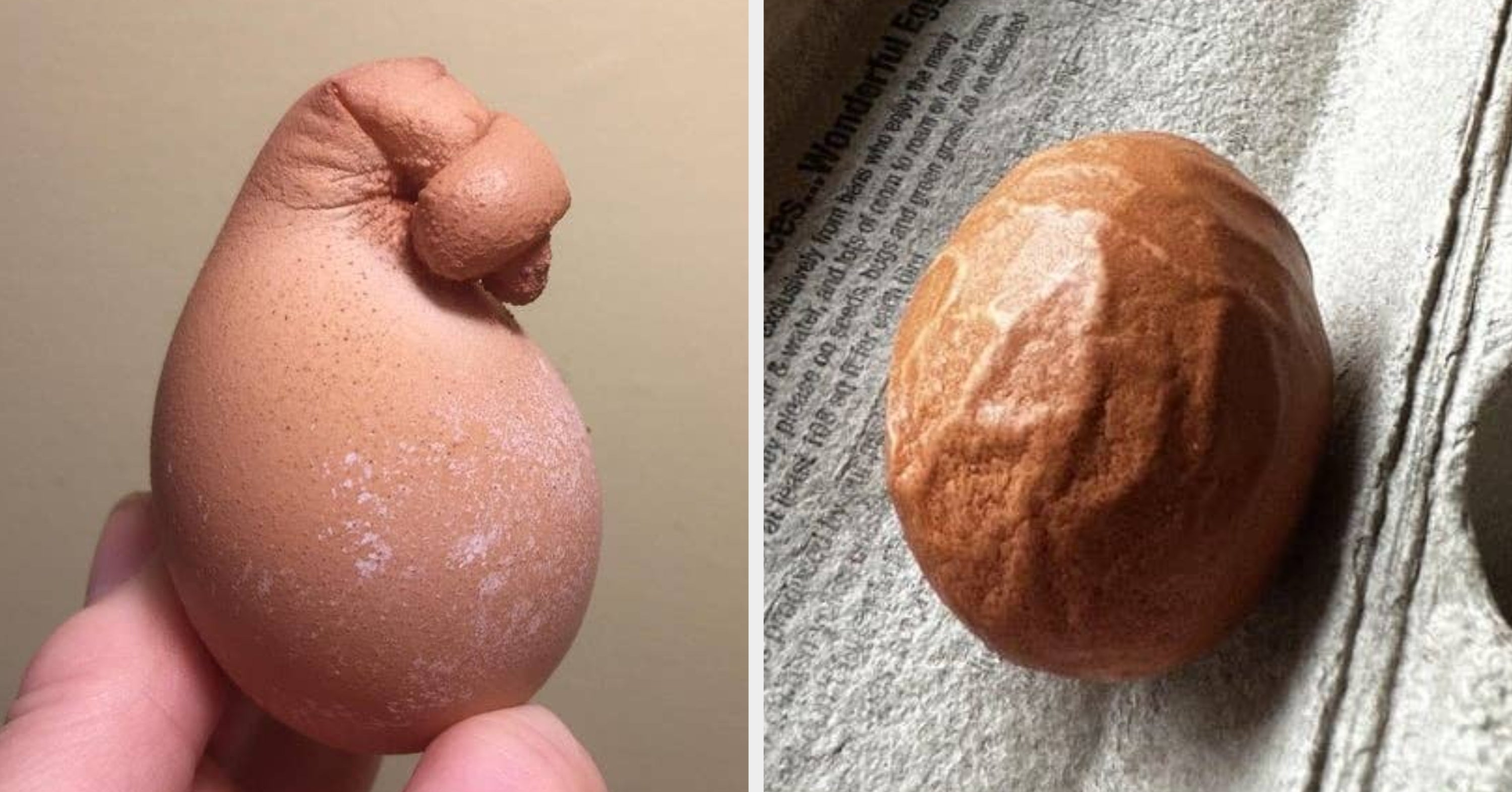 Just 40 Weird, Sickening, And Mind-Blowing Photos Of Eggs