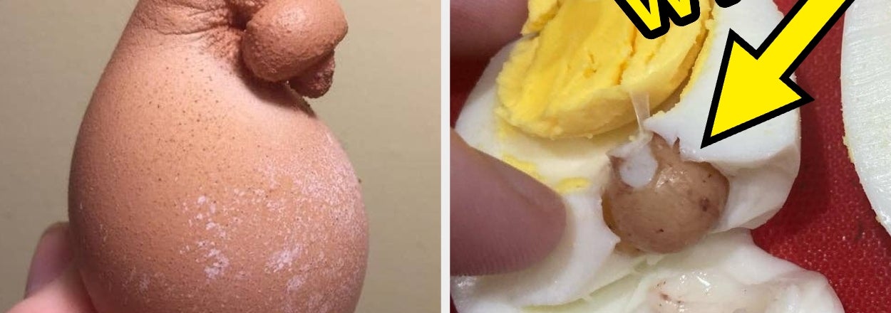 Just 40 Weird, Sickening, And Mind-Blowing Photos Of Eggs