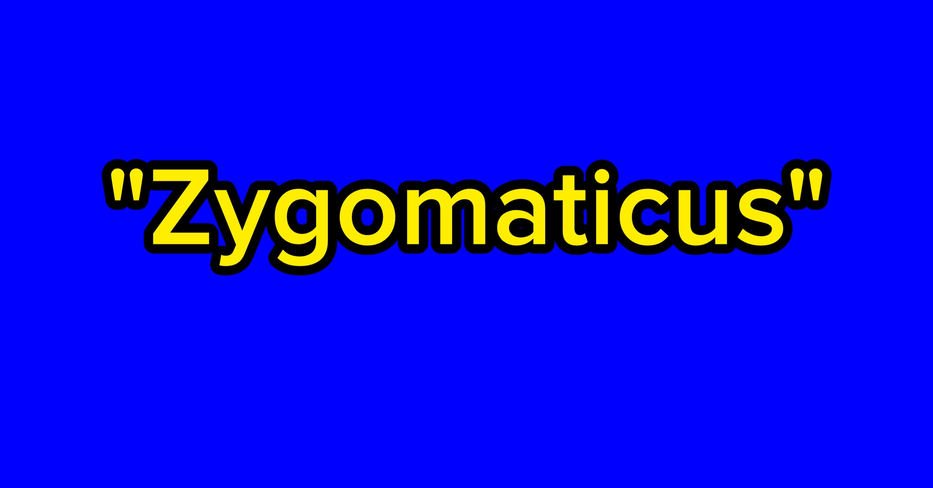 Sorry, But Only The Smartest People Can Tell Which Of These Words Are Dino Names And Which Are Muscle Names