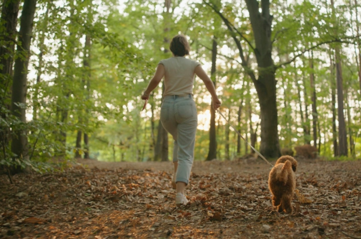 女性が犬と一緒に森の中を楽しそうに歩いている。リラックスした雰囲気。