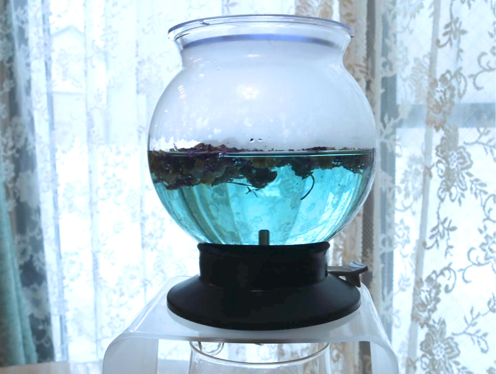 ガラス製のティードリッパー、HARIOの「ティードリッパー ラルゴ スタンドセット 800ml（TDR-8006T）」で「ブルーマロウ」というハーブティーを淹れている。