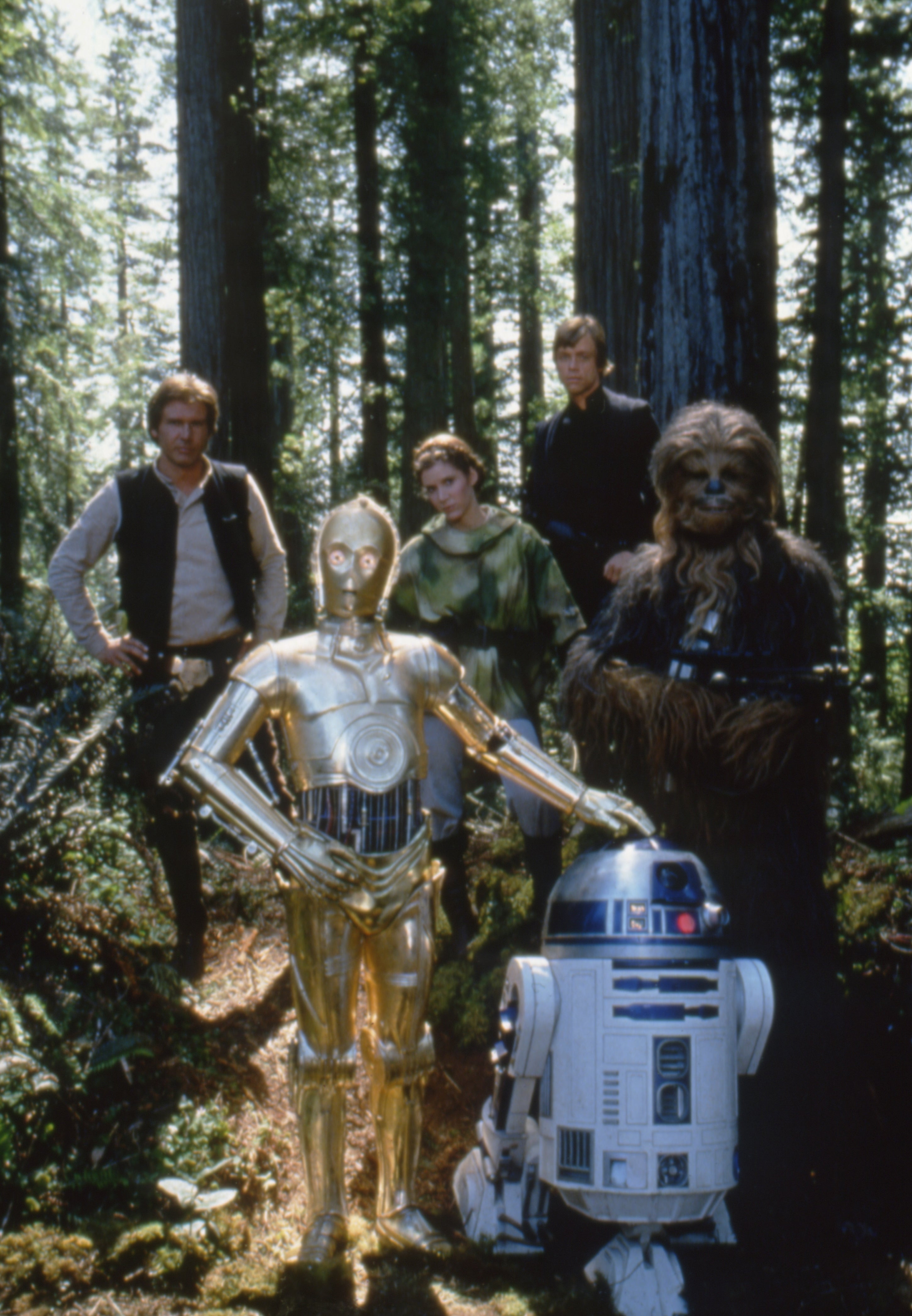 Five characters, including two robots and an alien, stand in a dense forest setting from a sci-fi movie