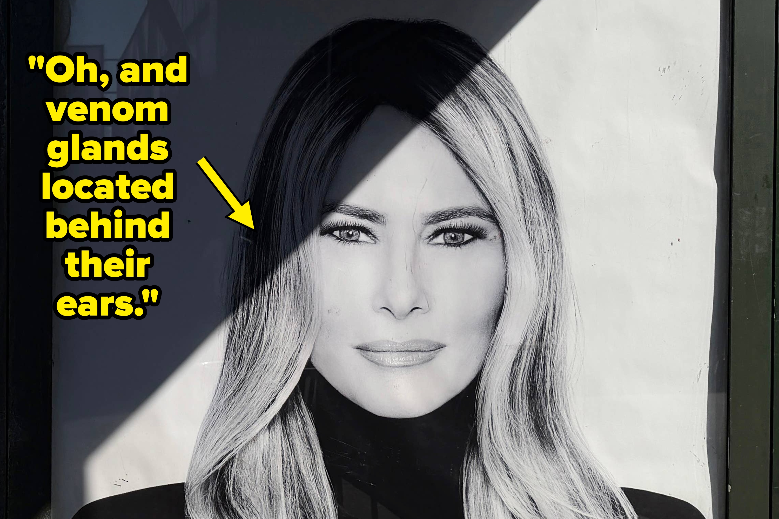 Poster of a person with long hair and a high-neck top displayed outdoors; shadow falls diagonally across the image