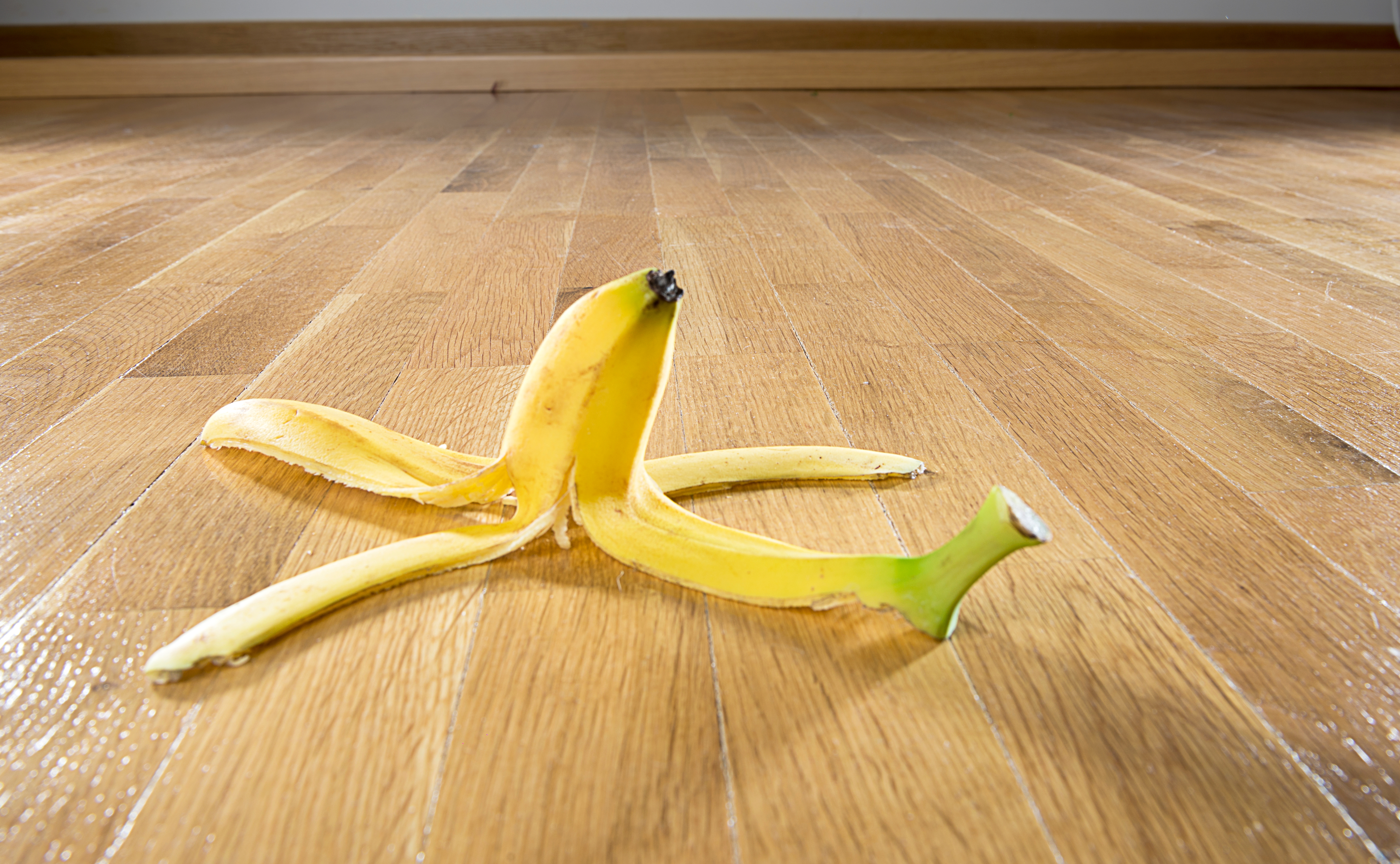 Banana peel connected  a woody  floor, dispersed  open