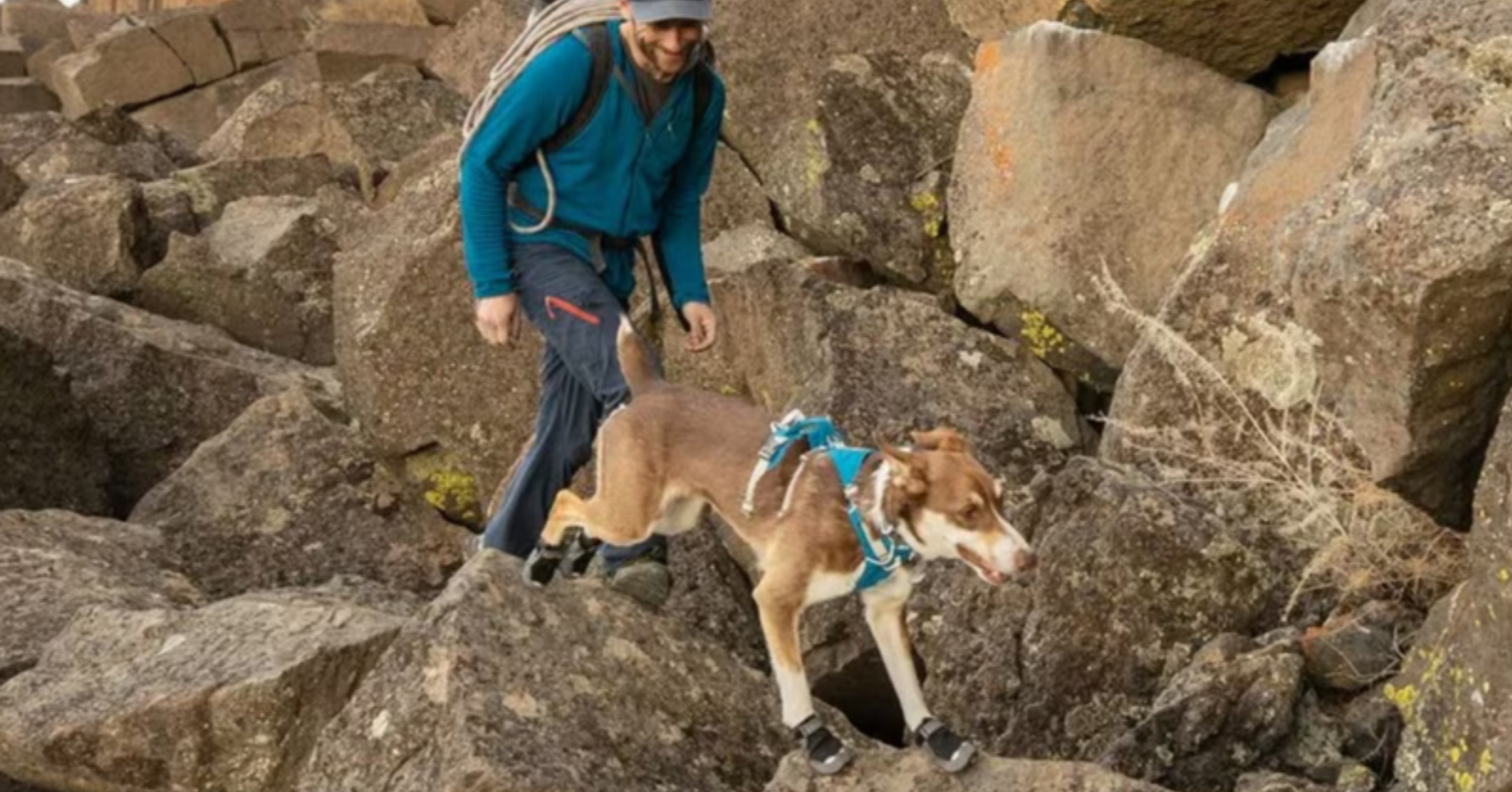 Winter Can Be Hard On Your Dog’s Paws. These 8 Vet-Recommended Products Can Help.