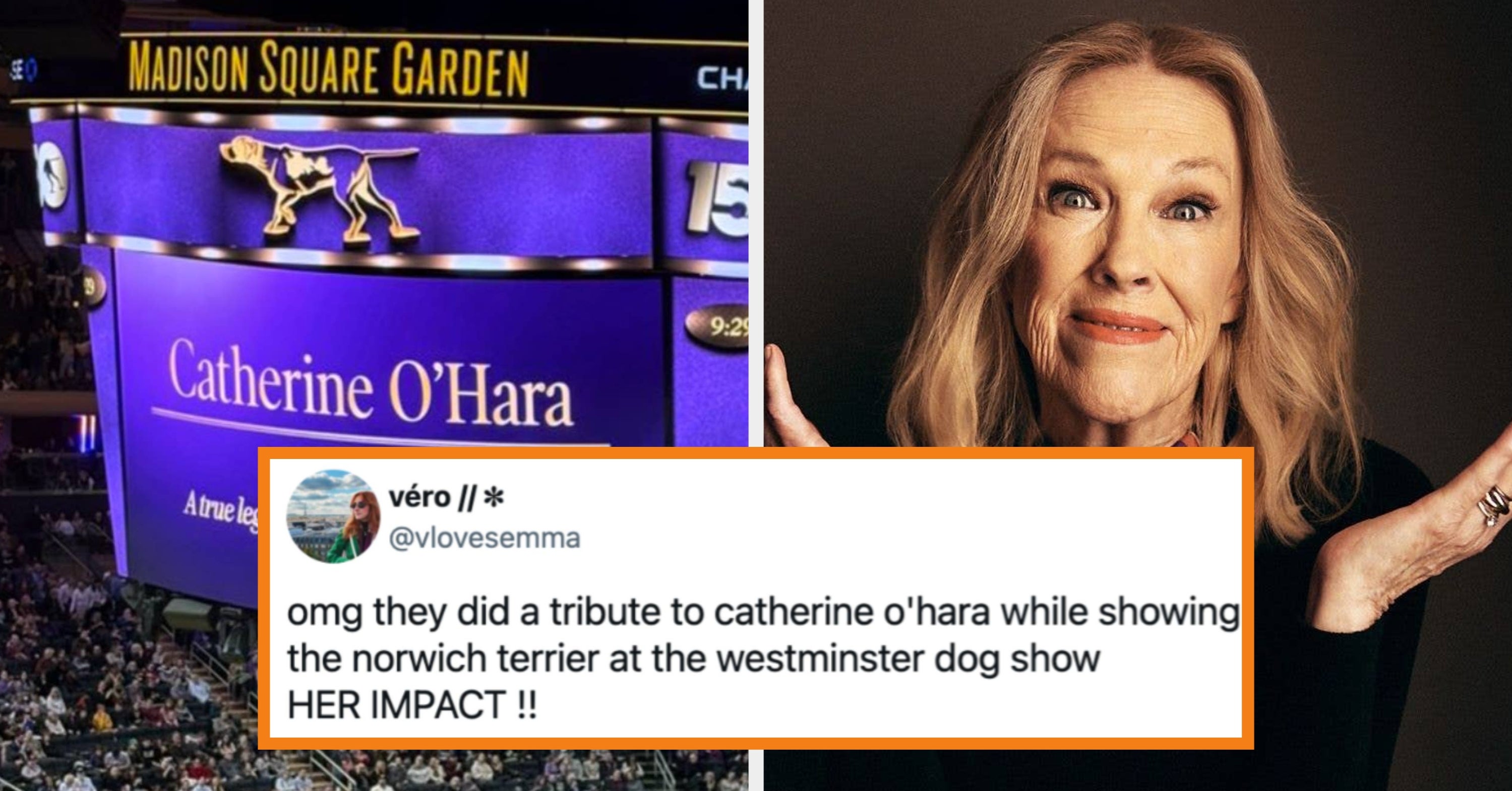 16 Of The Cutest, Best, Most Wholesome Posts From Around The Internet This Week