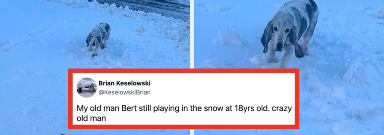 Just 16 Wholesome Posts From The Internet This Week That I Guarantee Will Improve Your Mood By 99.999%