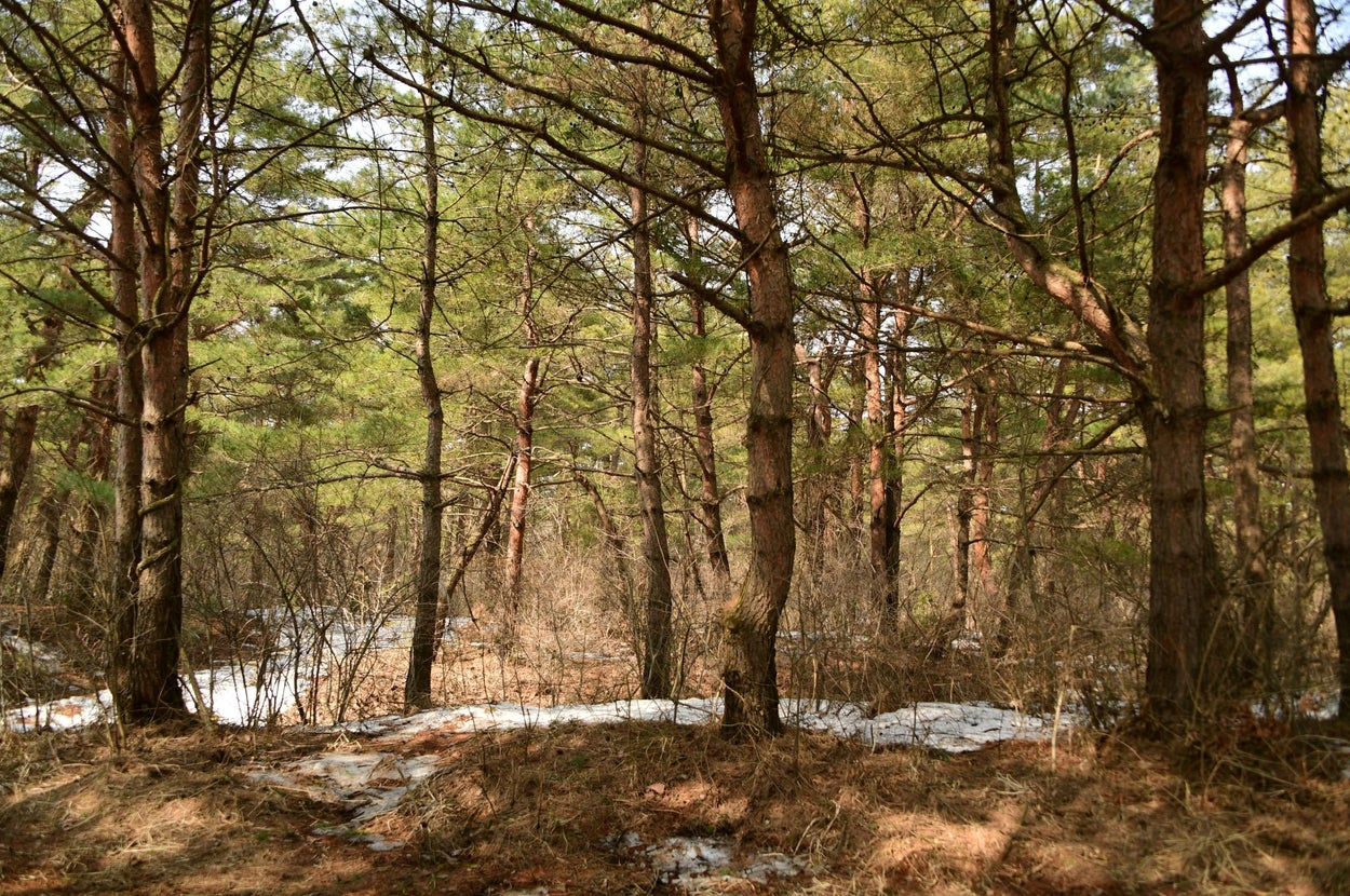 「2分で見つけることが出来たら、自衛隊受検しませんか？」と投稿された出題の画像（陸上自衛隊秋田駐屯地のXより）