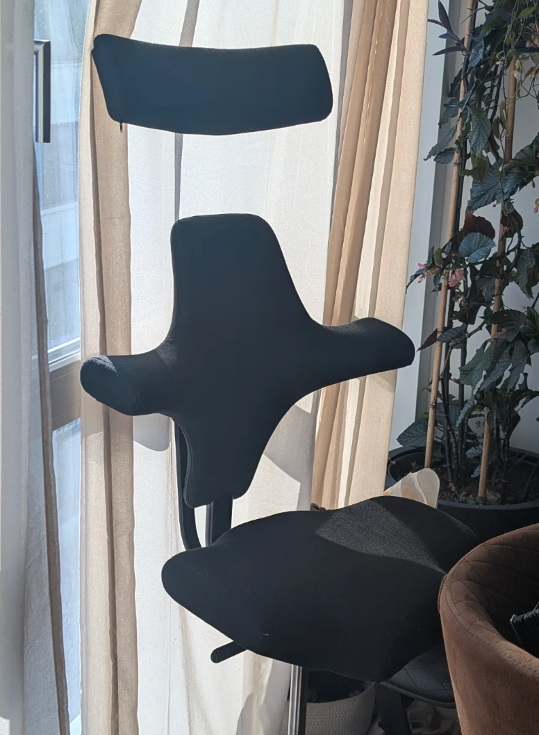 Ergonomic achromatic  seat  with unsocial   wing-like backrest and headrest, acceptable   beside a model   with curtains and gangly  indoor plants