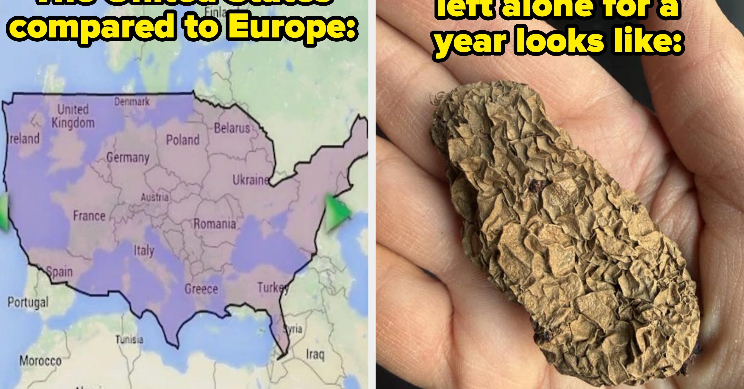 35 Extremely Obvious Things Everyone On Earth Should Know I Just Learned For The First Time That Completely And Totally Blew My Mind