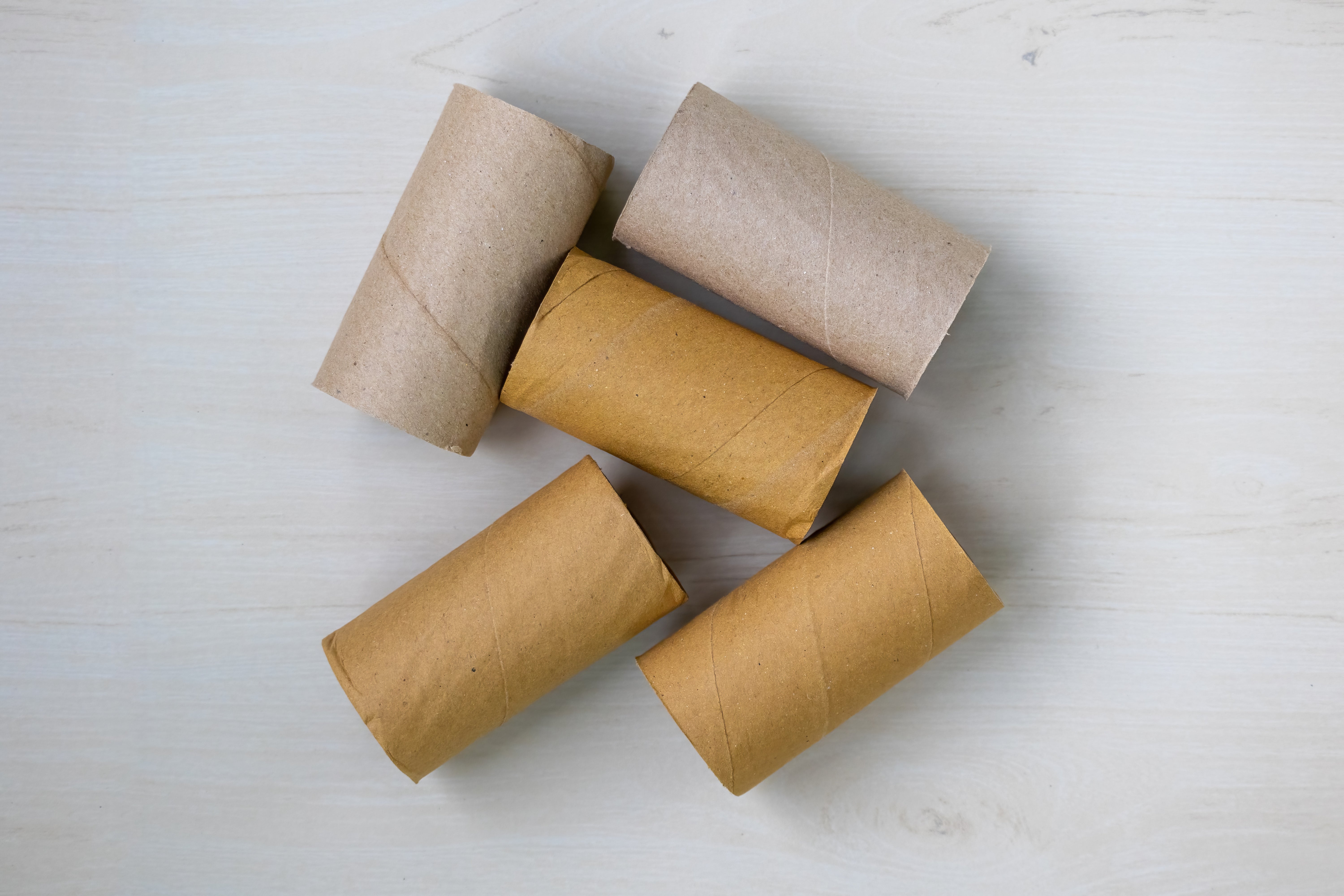 Five empty cardboard toilet paper rolls arranged on a flat surface