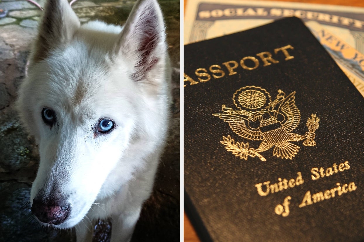 Homeowners Are Sharing The Wildest Things They’ve Found Left Behind In Their Homes, And Some Of These Are Actually Really Cool