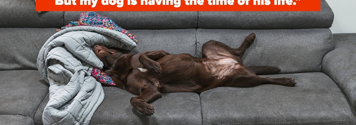 18 People Who Made Such Hilarious Mistakes That Their Stories Became Internet Gold