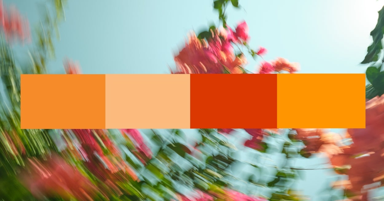 Which Flower Are You Based On The Hues That Speak To Your Soul?