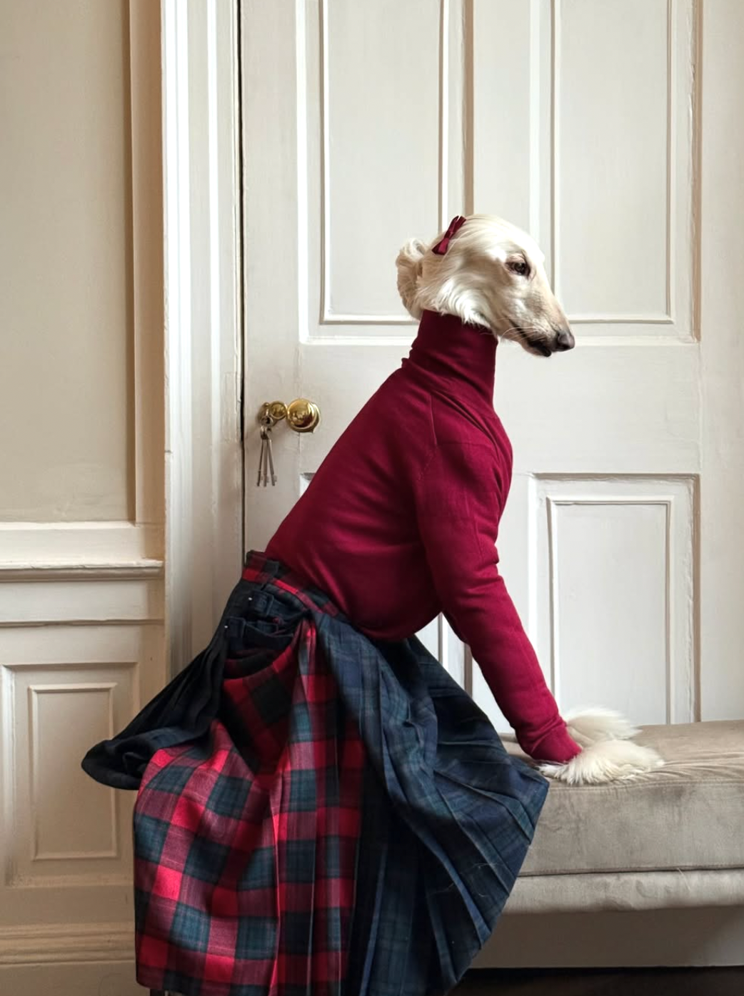 dressed up like a dog's dinner Idiom: done up / dressed up like a dog's dinner
