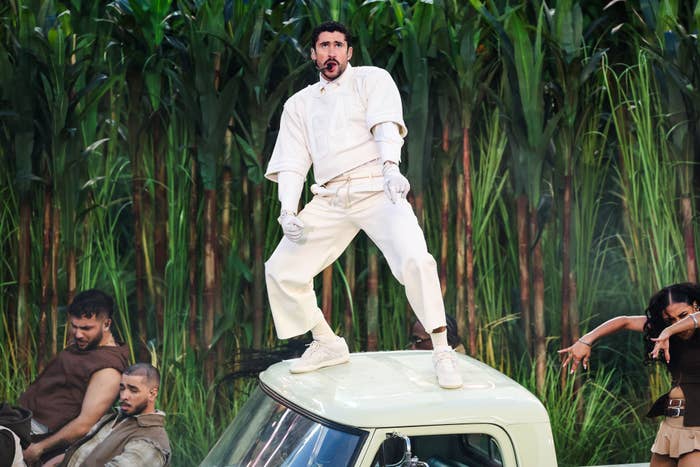 Person successful  a casual outfit energetically poses connected  apical  of a conveyance  against a backdrop of gangly  plants, with others posing around