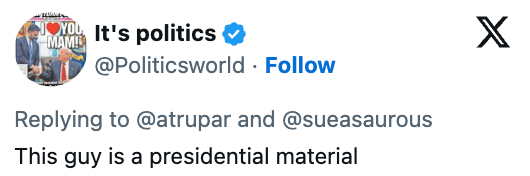  "This feline   is simply a statesmanlike  material."