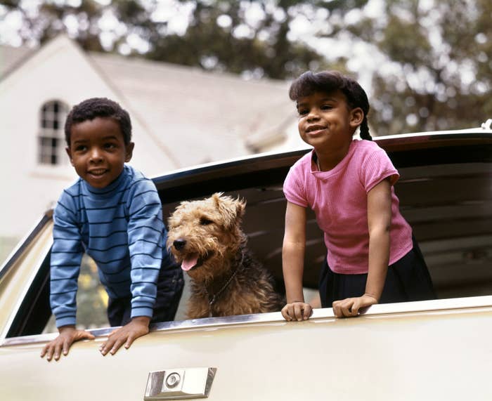 Two smiling children and a canine  thin  retired  of a car   window, enjoying a sunny day