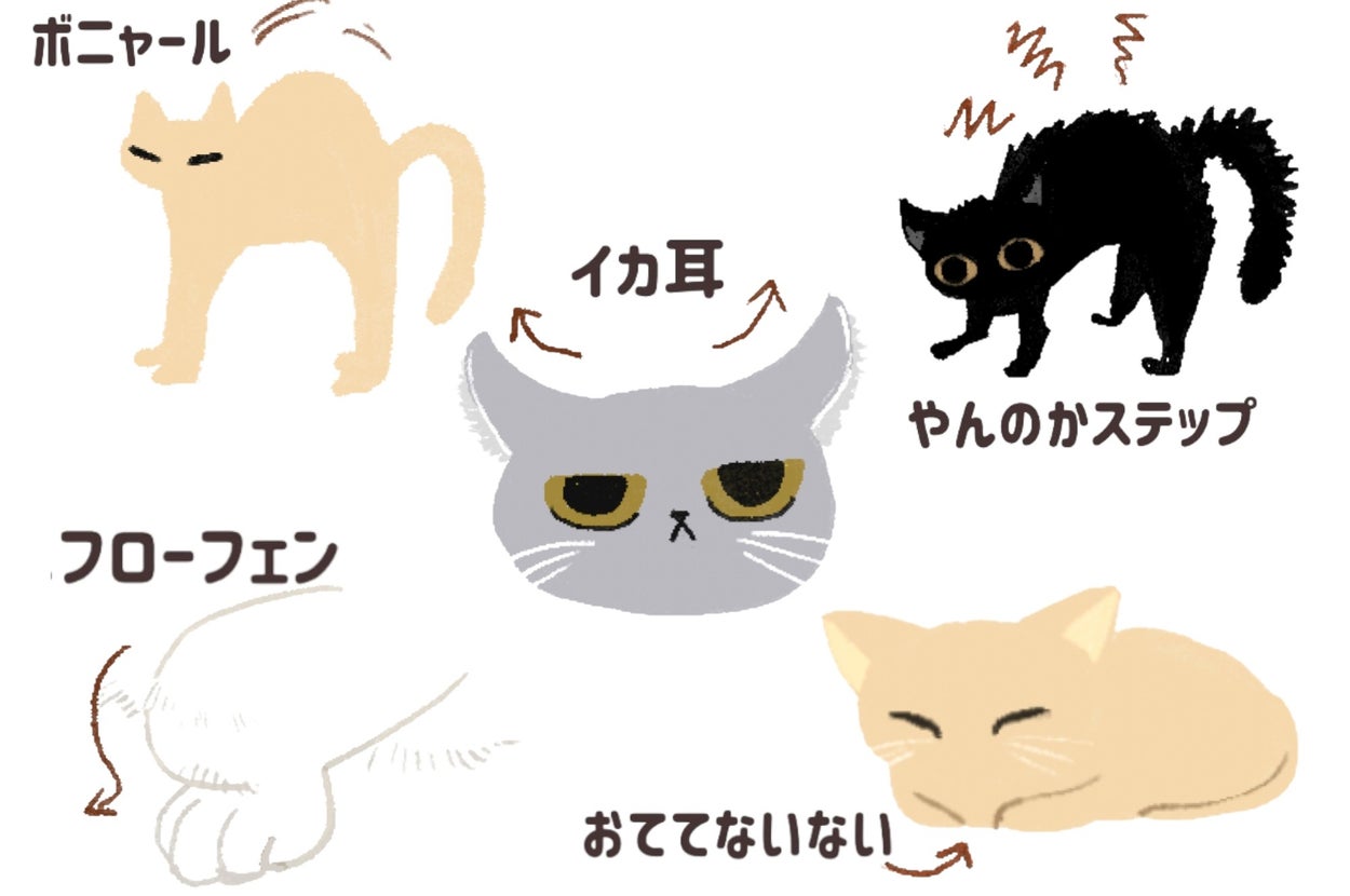 手書き風の猫イラスト集。「ボンヤーレ」猫が緊張、「イカ耳」耳を横に、「やんのかステップ」挑発的なポーズ、「フローフェン」前足を折りたたんで、「おててないない」手を隠し寝る。