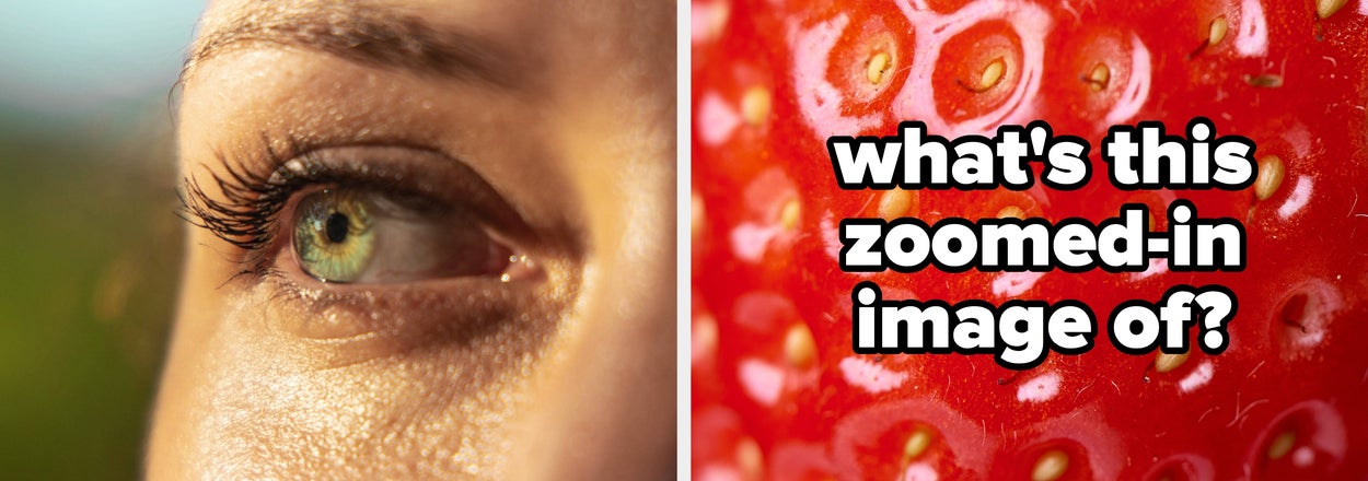 You Have Exceptional Vision If You Can Tell What These 15 Super Zoomed-In Pictures Are