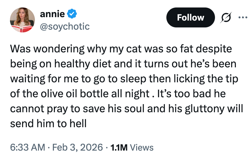 Tweet by idiosyncratic    "annie" humorously describes uncovering  retired  her feline  is licking olive lipid  astatine  night, humorously attributing this to the cat's weight