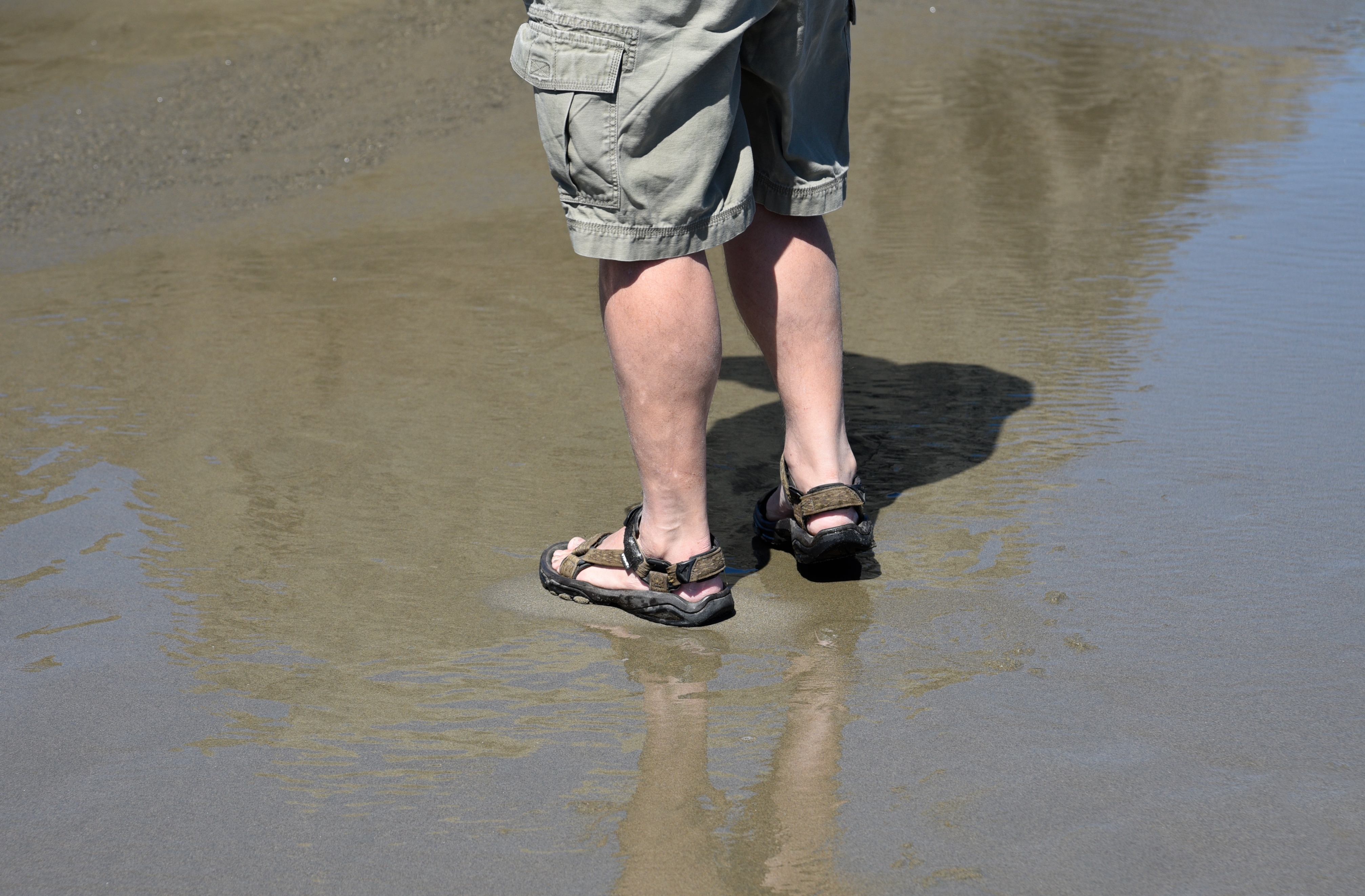 A person wearing cargo shorts and sandals stands in shallow water on a beach, casting a shadow on the wet sand