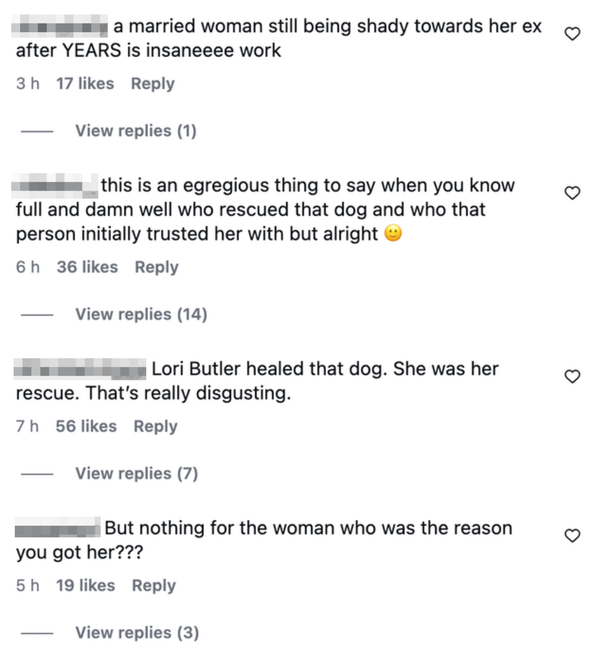 Social media comments discussing Lori's engagement  with a canine  rescue