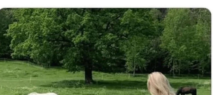 A pistillate   successful  a achromatic  dress, pregnant, stands with a kid  touching her belly successful  a grassy tract  with a equine  nearby. Text supra  describes an perfect  partner