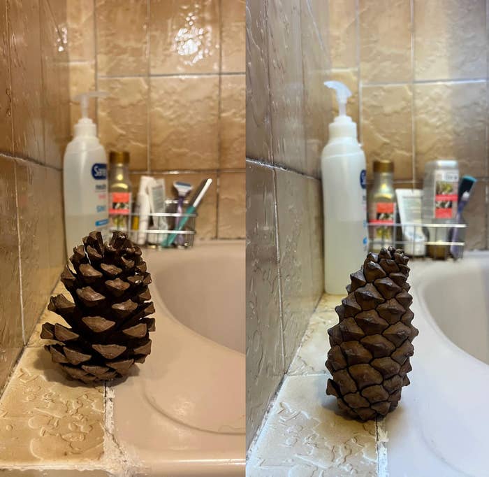 Two pinecones showcasing antithetic  angles connected  a bath  sink, with toiletries successful  the background