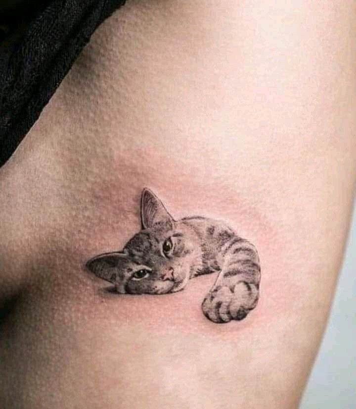 Tatuaje realista de un gato recostado, detallado en una parte del cuerpo