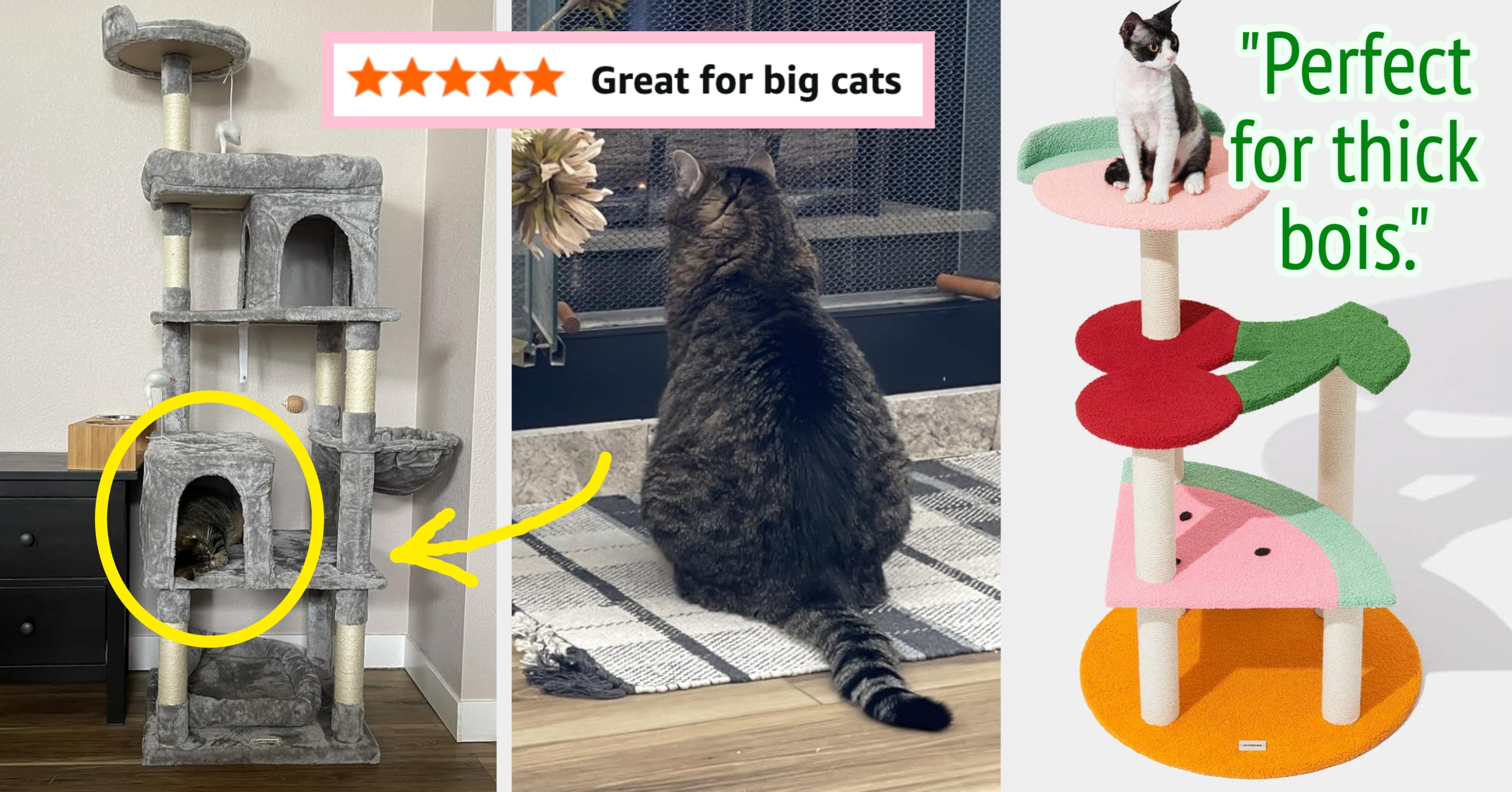 15 Sturdy Cat Trees That Can Actually Handle Large Cats