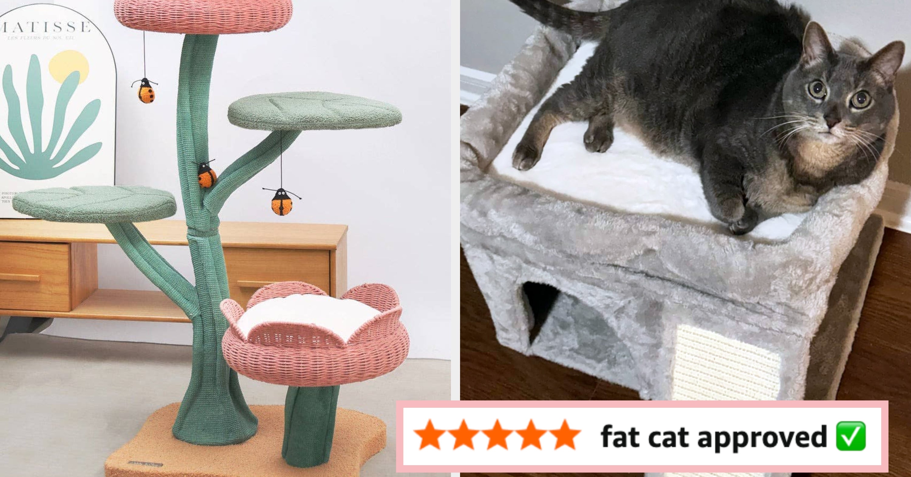 20 Sturdy Cat Trees That Can Actually Handle Large Cats