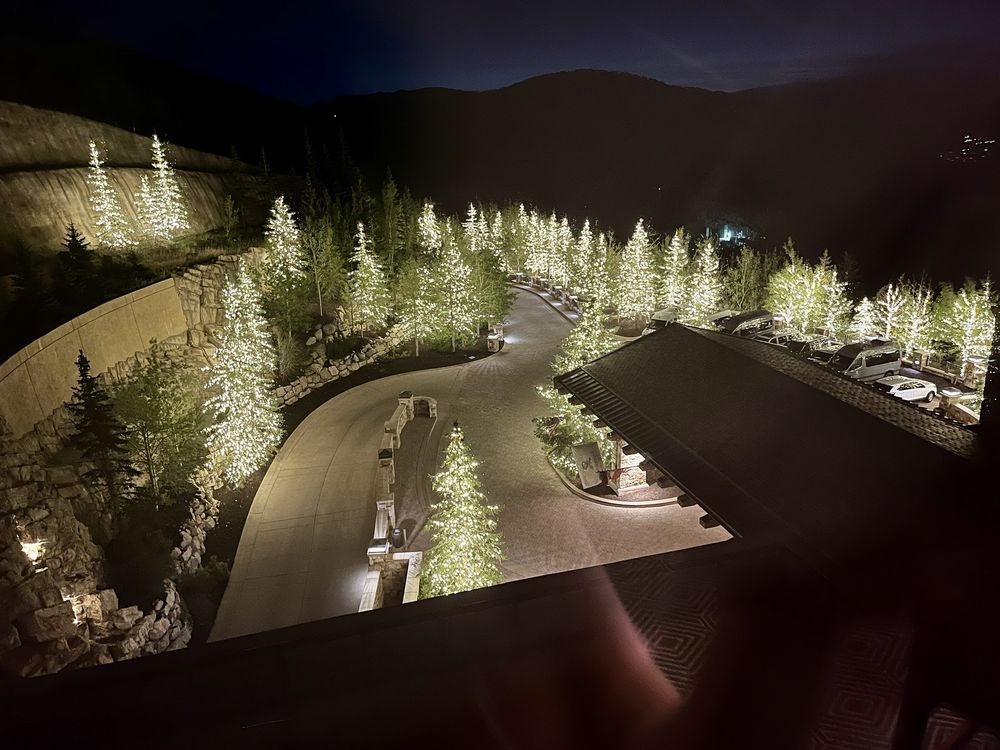 A scenic nighttime presumption    of a winding driveway lined with trees adorned with lights, starring  to a ample  building, suggesting a luxurious setting