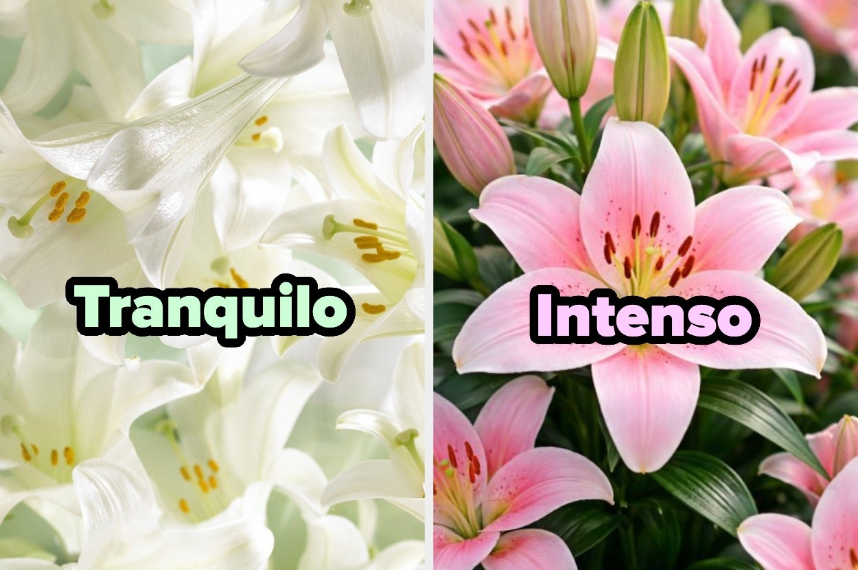 Lirios en dos estilos: 'Tranquilo' muestra lirios blancos, 'Intenso' lirios rosados. Comparación visual