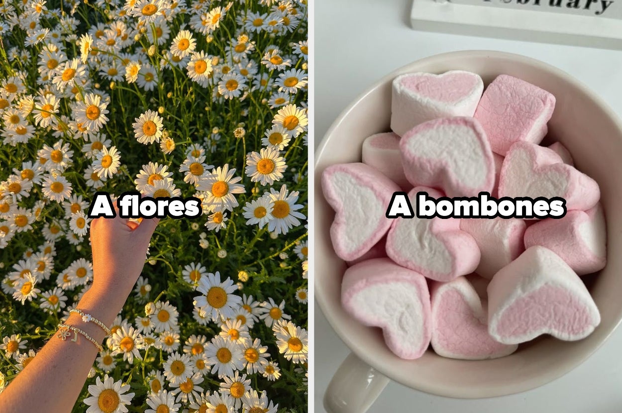 Izquierda: mano en un campo de margaritas; derecha: taza con bombones en forma de corazón. Texto: "A flores" y "A bombones"