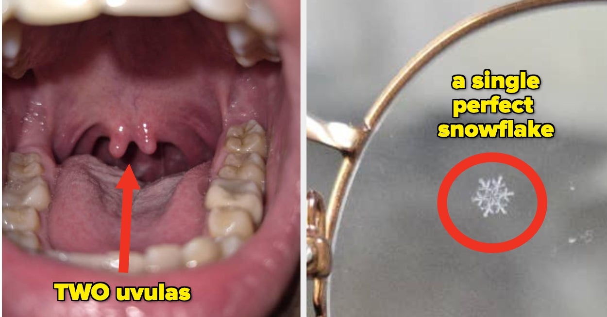 Everything You Thought You Knew Will Be Challenged Once You've Looked At These 21 Never-Before-Seen Photos