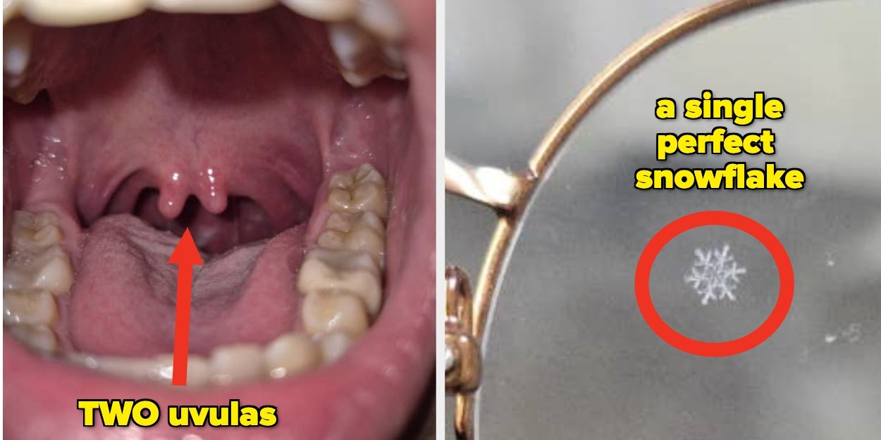 21 Mind-Blowing, Never-Before-Seen Photos That'll Completely Distort Your Perception Of The World