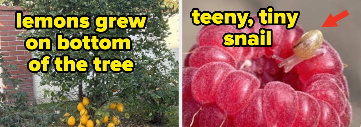 21 Mind-Blowing, Never-Before-Seen Photos That'll Completely Distort Your Perception Of The World