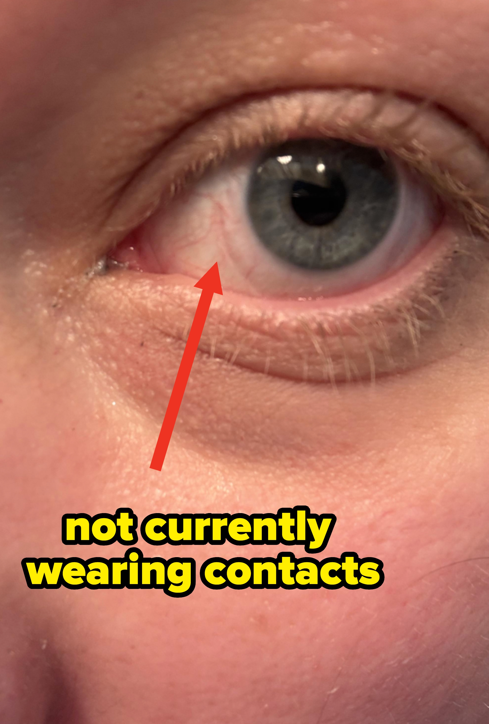 Close-up of a person's oculus showing elaborate features including eyelashes and tegument texture