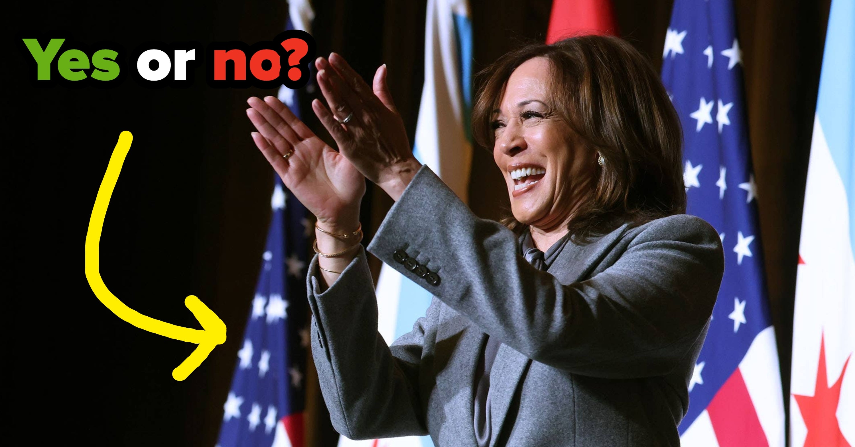 Democrats, Tell Us Your Opinions About Who Should And Shouldn't Run For President