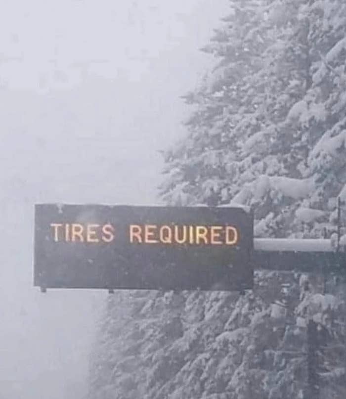 Snowy roadworthy  country   with physics  motion   displaying "TIRES REQUIRED" amidst snow-covered trees