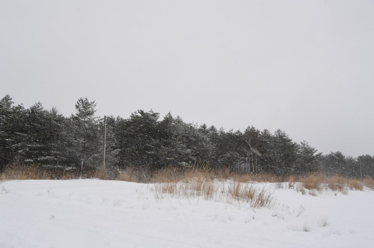 秋田駐屯地が「こっそりこちらを見ている攻撃側の隊員を見つけれますかな？」と投稿した写真（秋田駐屯地のXより）