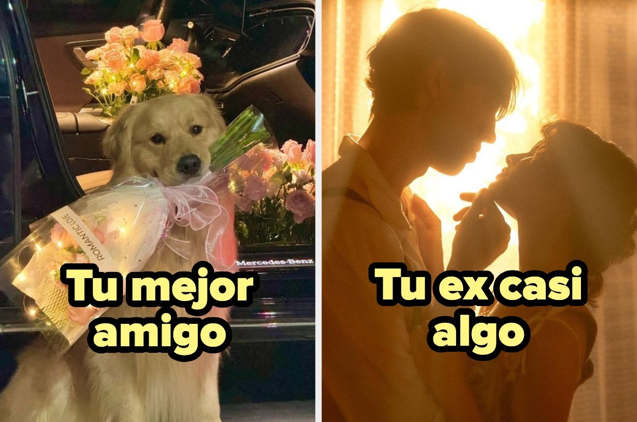A la izquierda, un perro con flores y un cartel "Tu mejor amigo". A la derecha, una pareja frente a frente bajo luz suave, "Tu ex casi algo"